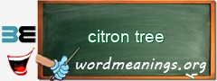 WordMeaning blackboard for citron tree